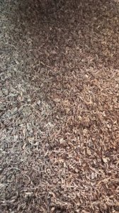 Lord bergamot çayı 